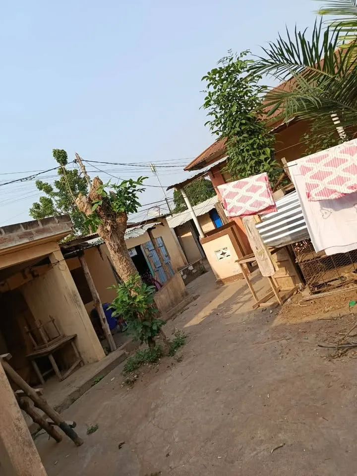 A VENDRE MAISON DE LOCATION SUR PLUS DE 1LOT, photo 3